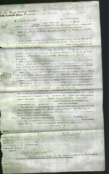 Court of Common Pleas - Annie Tabitha Stapleton-Original Ancestry