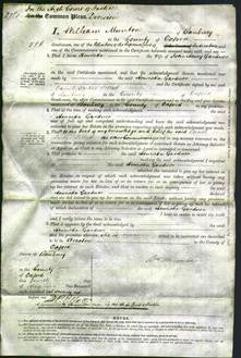 Court of Common Pleas - Henrietta Gardner-Original Ancestry