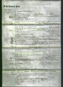 Court of Common Pleas - Betty Timbrell-Original Ancestry