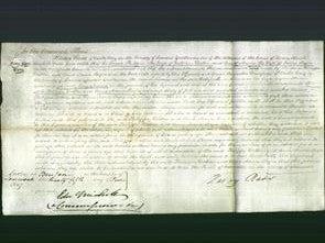 Court of Common Pleas - Philippa Wotton and Anne Maria Boyce-Original Ancestry