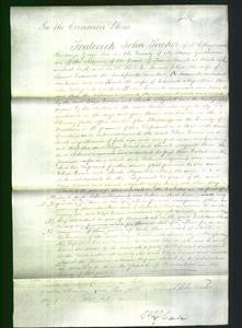 Court of Common Pleas - Sarah Mynott-Original Ancestry