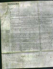 Court of Common Pleas - Catherine Jane Walker-Original Ancestry