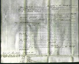 Court of Common Pleas - Elizabeth Williams