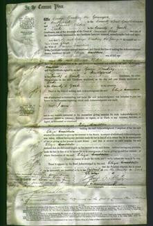 Court of Common Pleas - Eliza Crabtree-Original Ancestry