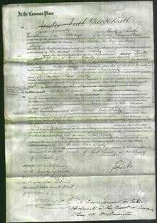 Court of Common Pleas - Jane Searley-Original Ancestry