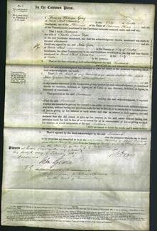 Court of Common Pleas - Susanna Dyer-Original Ancestry