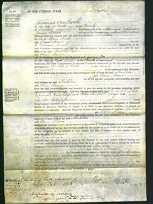 Court of Common Pleas - Matilda Noad and Clara Maria Smart-Original Ancestry