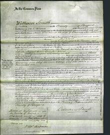 Court of Common Pleas - Ann Strickland-Original Ancestry