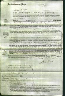 Court of Common Pleas - Mary Ridmore-Original Ancestry