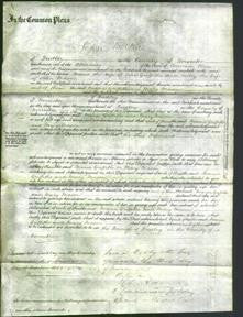 Court of Common Pleas - Maria Griffiths and Mary Mason-Original Ancestry