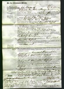 Court of Common Pleas - Margaret Hamilton Gifford-Original Ancestry