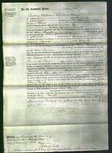 Court of Common Pleas - Ellen Powell-Original Ancestry