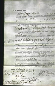 Court of Common Pleas - Elizabeth Gee-Original Ancestry