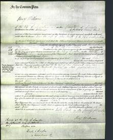 Court of Common Pleas - Ann Smith-Original Ancestry
