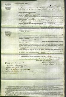 Court of Common Pleas - Ann White-Original Ancestry