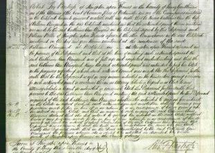 Court of Common Pleas - Catherine Ann Kanyard-Original Ancestry