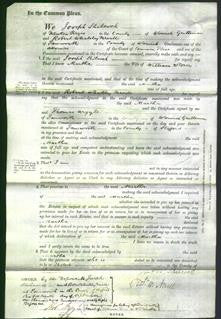 Court of Common Pleas - Martha Storer-Original Ancestry