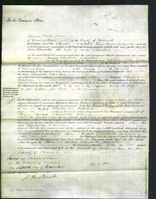 Court of Common Pleas - Charlotte Fletcher-Original Ancestry