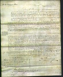 Court of Common Pleas - Elizabeth Upton-Original Ancestry