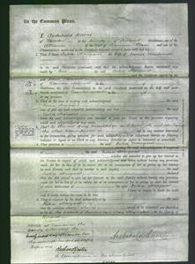 Court of Common Pleas - Julia Margaret Mortimer-Original Ancestry