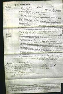 Court of Common Pleas - Mary Ann Lamport-Original Ancestry