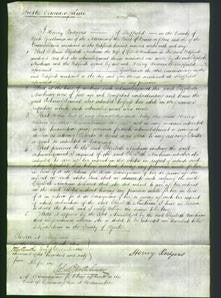 Court of Common Pleas - Elizabeth Newham-Original Ancestry