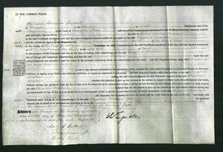 Court of Common Pleas - Elizabeth Brabant-Original Ancestry