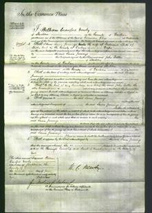 Court of Common Pleas - Laura Jennings Spoor-Original Ancestry