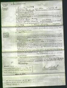 Court of Common Pleas - Susannah Sorrell-Original Ancestry