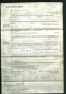 Court of Common Pleas - Ann Richardson Smith-Original Ancestry