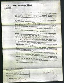 Court of Common Pleas - Anne Berry-Original Ancestry