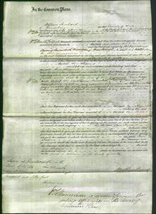 Court of Common Pleas - Jane Sheppard-Original Ancestry