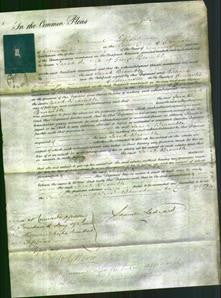 Court of Common Pleas - Sarah Bramble-Original Ancestry