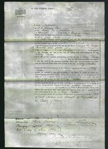 Court of Common Pleas - Mary Penston-Original Ancestry