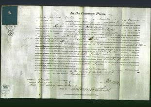 Court of Common Pleas - Isabella Parker-Original Ancestry