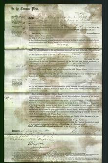 Court of Common Pleas - Eliza Jane Salmon-Original Ancestry