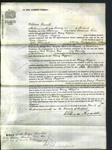 Court of Common Pleas - Mary Higgins-Original Ancestry