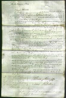 Court of Common Pleas - Jane Thompson-Original Ancestry