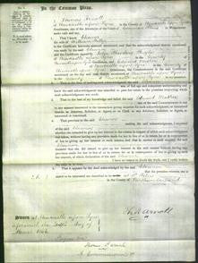 Court of Common Pleas - Eleanor Kelly-Original Ancestry