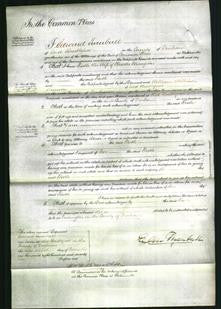 Court of Common Pleas - Ruth Thompson-Original Ancestry