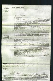 Court of Common Pleas - Mary Ann Howlison-Original Ancestry