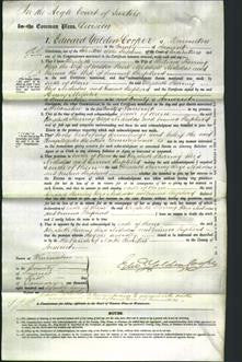 Court of Common Pleas - Elizabeth Sherring, Eliza Nicholas and Emma Shepherd-Original Ancestry