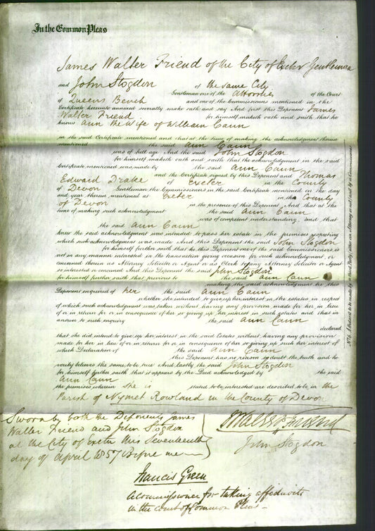 Court of Common Pleas - Ann Cain