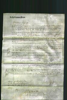 Court of Common Pleas - Sarah Newman-Original Ancestry