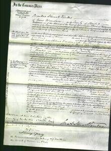 Court of Common Pleas - Nancy Haynes and Sarah Free Pond-Original Ancestry