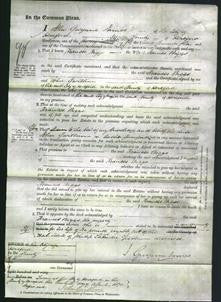 Court of Common Pleas - Frances Biggs-Original Ancestry