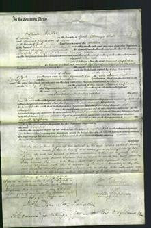 Court of Common Pleas - Elizabeth Upton-Original Ancestry