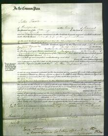 Court of Common Pleas - Julia Prince-Original Ancestry