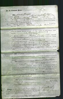 Court of Common Pleas - Hannah Marshall-Original Ancestry