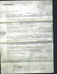 Court of Common Pleas - Susannah Patten-Original Ancestry